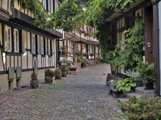 Schwarzwald