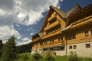 Fototapeta na wymiar Luxury traditional mountain hotel made of wooden planks.