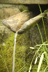 Water spring with old mossy gargoule and grass