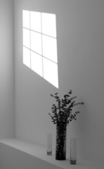 A shadow of a window on a wall with vases in B&W