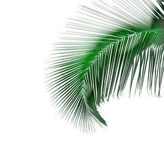 Obraz premium jouvencelle