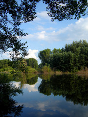 Reflection of the sky and trees in lake