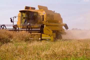 Obraz premium Mähdrescher