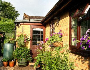 Fototapeta na wymiar Flowering Baskets and Planters in an English Back garden