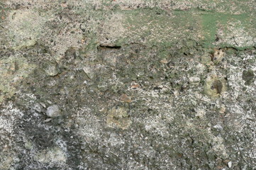 old concrete wall
