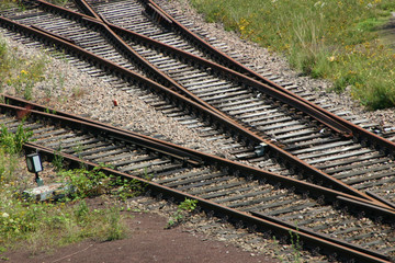 Obraz premium Gabelung