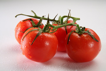 red tomatoes in cluster on neutral background, with water drops