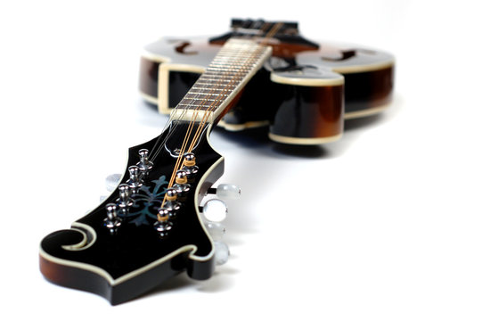 Close up of a mandolin on a white background.