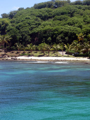 Bord de mer des caraïbes