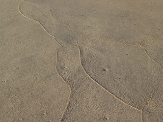 Fototapeta na wymiar Sand Tracings on Beach, Low Tide