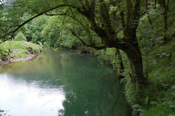 Leitza river in Leitzaran Valley, Spain