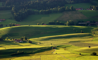 sunny hills