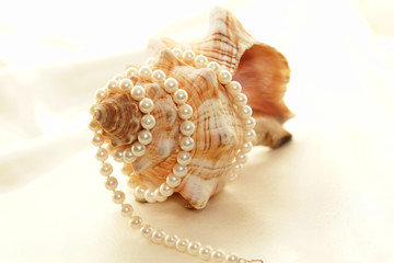 pearl wrapped shell