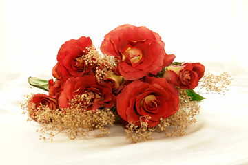 roses on white