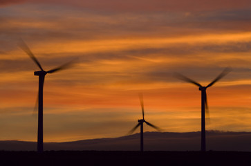 Obraz premium Wind turbines against an orange sunset.