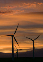 Obraz premium Wind turbines against an orange sunset.