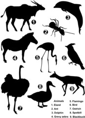 Nine detailed vector silhouettes of wildlife species
