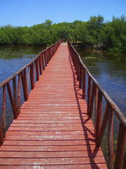 Red walk bridge