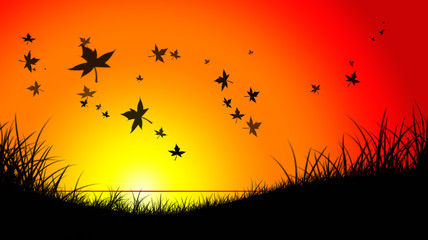 Abendsonne © FotoDesignPP