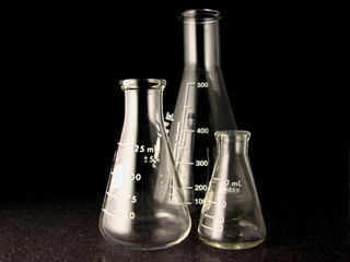 Erlenmeyer Flasks