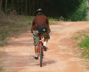 Bicycle rider on a mountain bike at a forest road