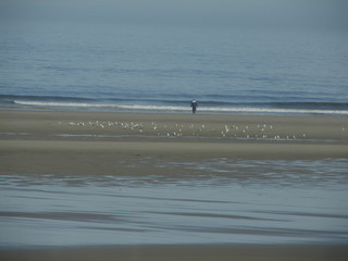 Walking on the Beach