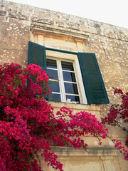 Fototapeta na wymiar Wapień śródziemnomorski dom urządzony przez rośliny