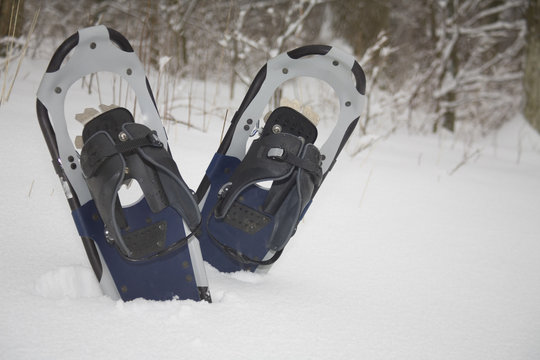 snow shoes in the snow