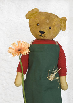 Teddyb&auml;r als G&auml;rtner mit einer einzelnen gro&szlig;en Blume