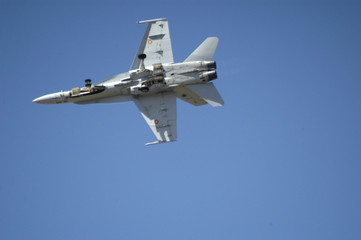 Fototapeta na wymiar Spacerować F-18-283