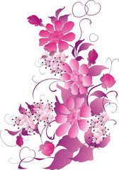 flower ornament in pink color on white background