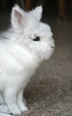 ist bald ostern