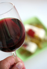 rotwein mit antipasti