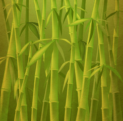 design of bamboo trees, illustration background