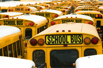 School Bus Fleet