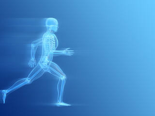 anatomie eines laufenden menschen
