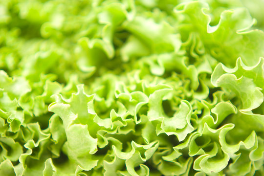 Caesar salad close-up