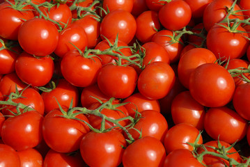 Tomaten in Le Lavandou