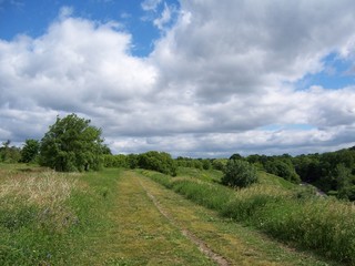 Landscape with trail