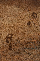 Fototapeta na wymiar Wet Footprints on stone