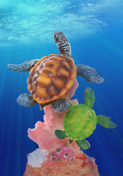 Two colorful turtles swimming to the surface of the ocean
