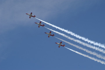 patrulla aguila-534