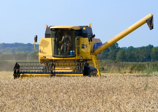 Moisson #2