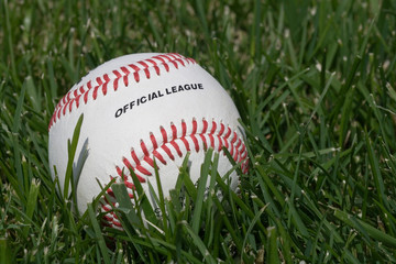 Official full grain leather cover baseball on the grass