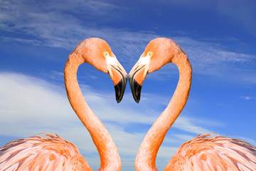 Pink flamingo like heart on the clouds sky background