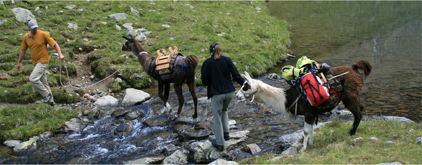 Unterwegs mit Lamas © Konstanze Gruber