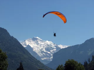 Rolgordijnen parachute © dinostock