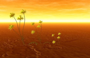 Obraz premium 3D landscape with flowers