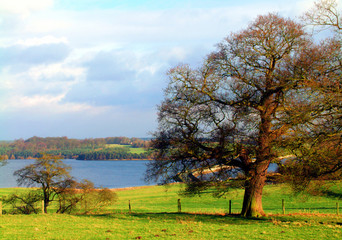 Sunny day at Blithfield reservoir