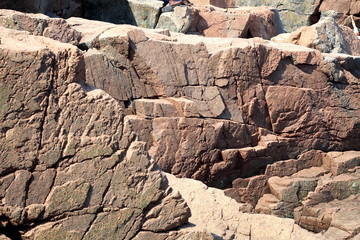 Pink Granite in Acadia National Park